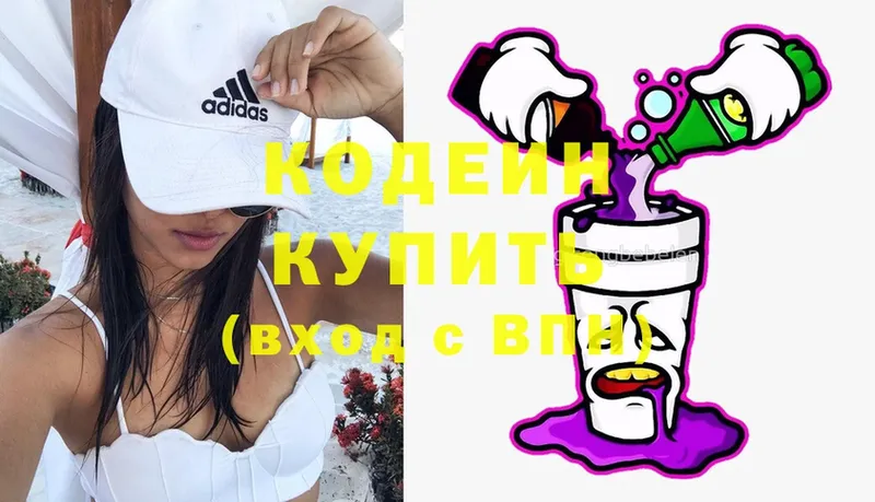 Кодеин Purple Drank  дарнет шоп  Камышин 